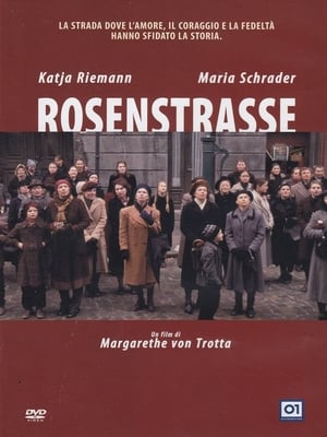 Poster Rosenstrasse 2003
