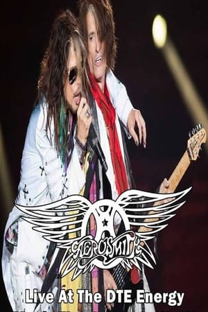 Poster Aerosmith Live In Detroit Proshot (2014)