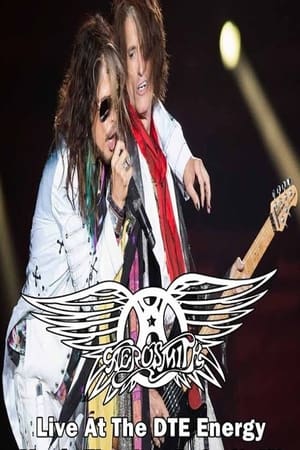 Poster Aerosmith Live In Detroit Proshot 2014