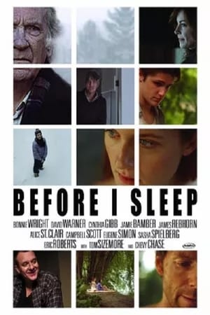 Poster Before I Sleep (2013)