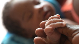 The Delivery Line (2026)