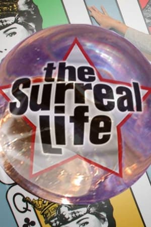 The Surreal Life poster