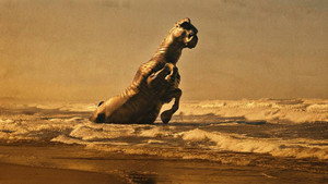 Images posters
