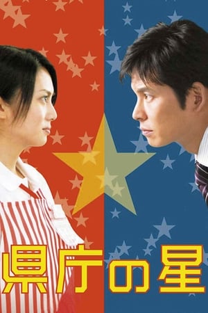 Poster 星级大改造 2006