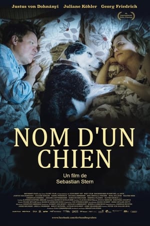 Image Nom d'un Chien