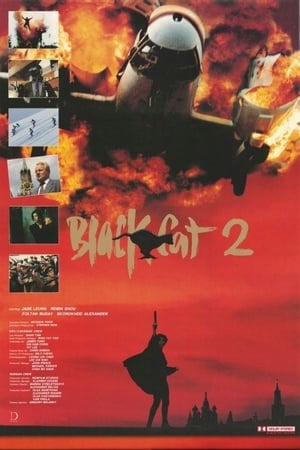 Poster Black Cat II 1992