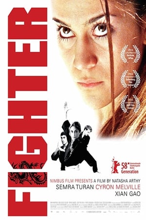 Poster Fighter (2007)