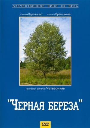 Черная береза poster