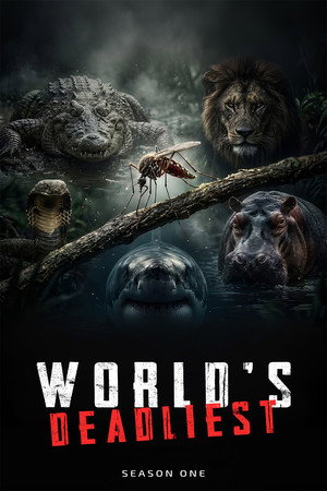 Saison 1