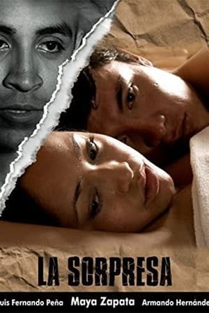 Poster La sorpresa (2008)