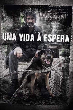 Poster Uma Vida À Espera (2017)