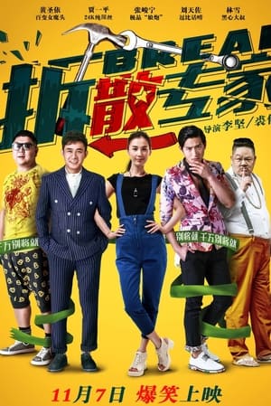 Poster 拆散专家 2014