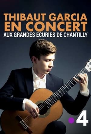 Image Thibaut Garcia en concert aux Grandes Écuries de Chantilly