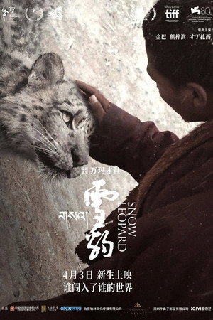 Snow Leopard 20