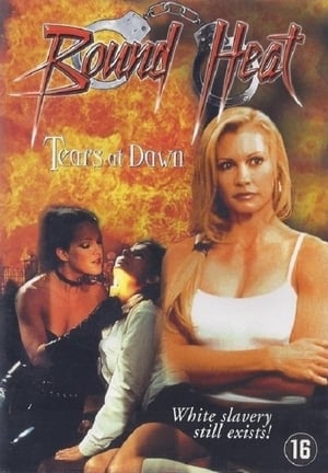 Poster The Final Victim (2003)