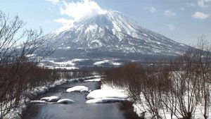 Wild Hokkaido! Winter in Mt. Yotei, Niseko