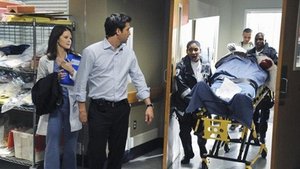 Grey’s Anatomy: Season 6 Episode 14