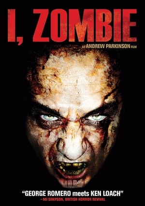 Poster Moi, zombie : chronique de la douleur 1999