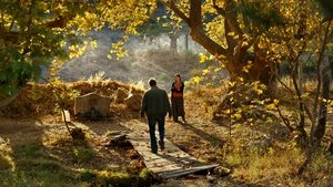 L’albero dei frutti selvatici (2018)