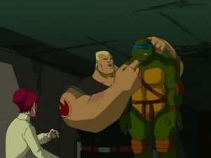 Teenage Mutant Ninja Turtles: 1×18