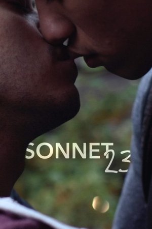 Sonnet 23 2016