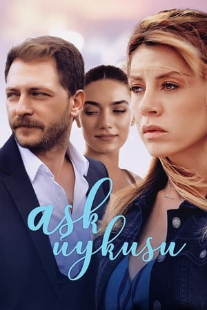Poster Aşk Uykusu 2017
