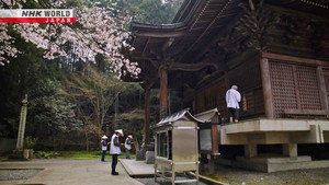 The Flower Pilgrimages of Shikoku