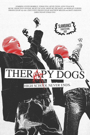Therapy Dogs 11