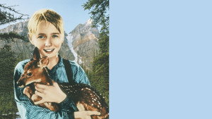 The Yearling