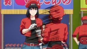 Hataraku Saibou (TV) Episódio 12