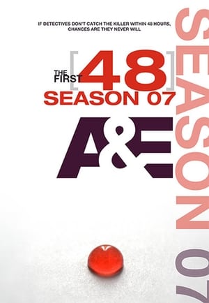 The First 48: Season 7