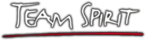 Team Spirit: De serie