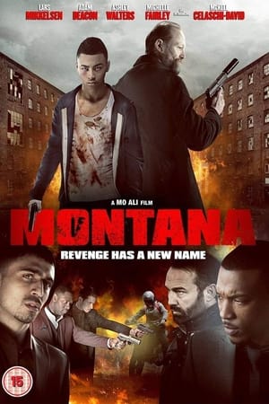 Poster Montana (2014)