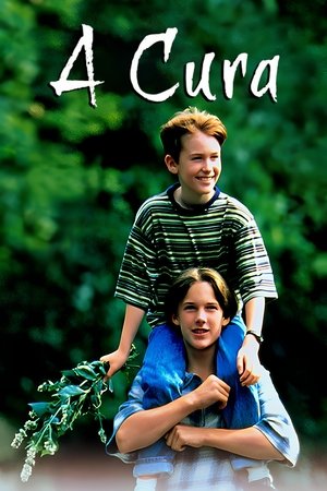 A Cura (1995)