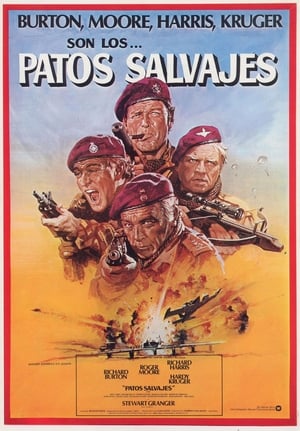 Poster Patos salvajes 1978