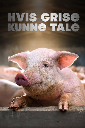 Hvis grise kunne tale