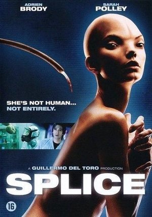 Image Splice