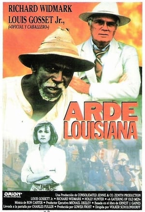 Poster Viejos recuerdos de Luisiana 1987