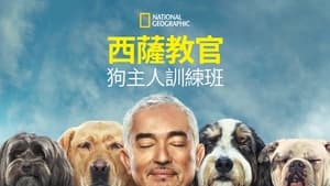 poster Cesar Millan: Better Human, Better Dog