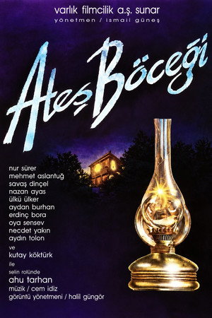 Ateş Böceği 7