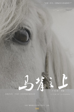 马背之上
