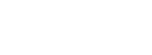 Professione inventore