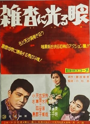 Poster Zattō ni hikarume (1959)