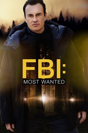 FBI: Most Wanted 3ª Temporada Torrent (WEB-DL) Dual Áudio / Legendado – Download