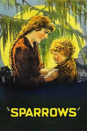 Poster Воробушки 1926