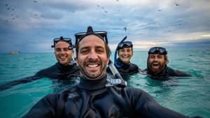 Shipwreck Hunters Australia Search for Koombana