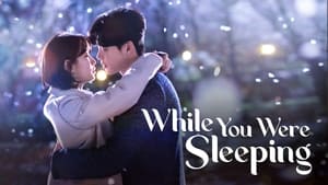 poster While You Were Sleeping