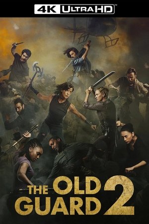 poster The Old Guard 2