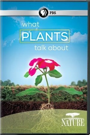 Nonton film PBS NATURE: What Plants Talk About (1970) terbaru sub indo Nonton film PBS NATURE: What Plants Talk About (1970) terbaru sub indo