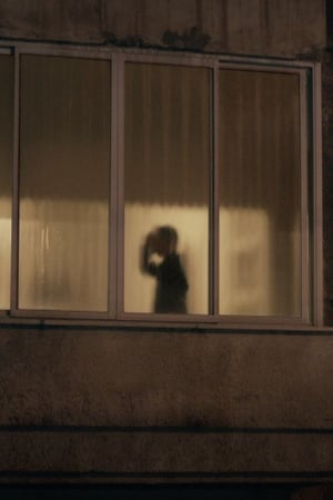 Poster Shadow Puppets (2013)